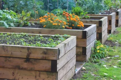 Отказываться ли от «минералки»?