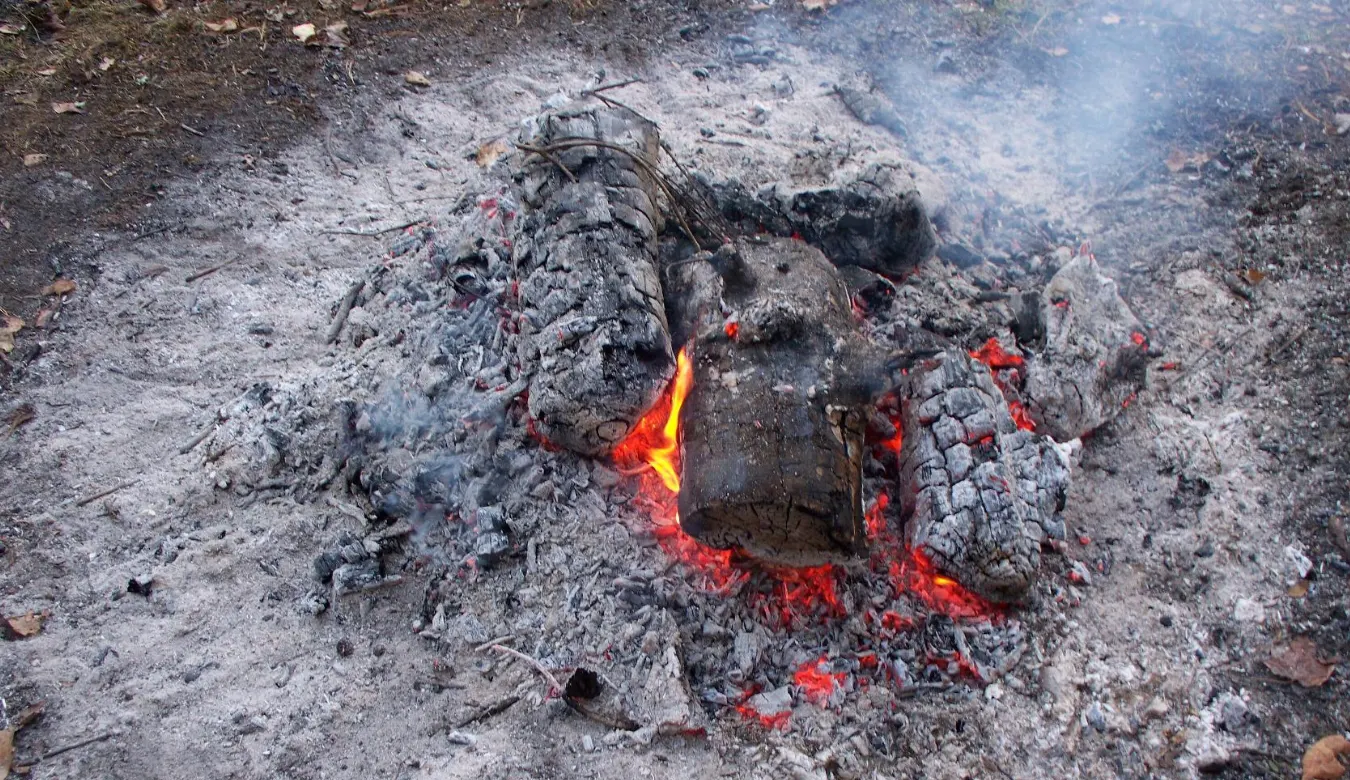 Дачный туалет без запаха