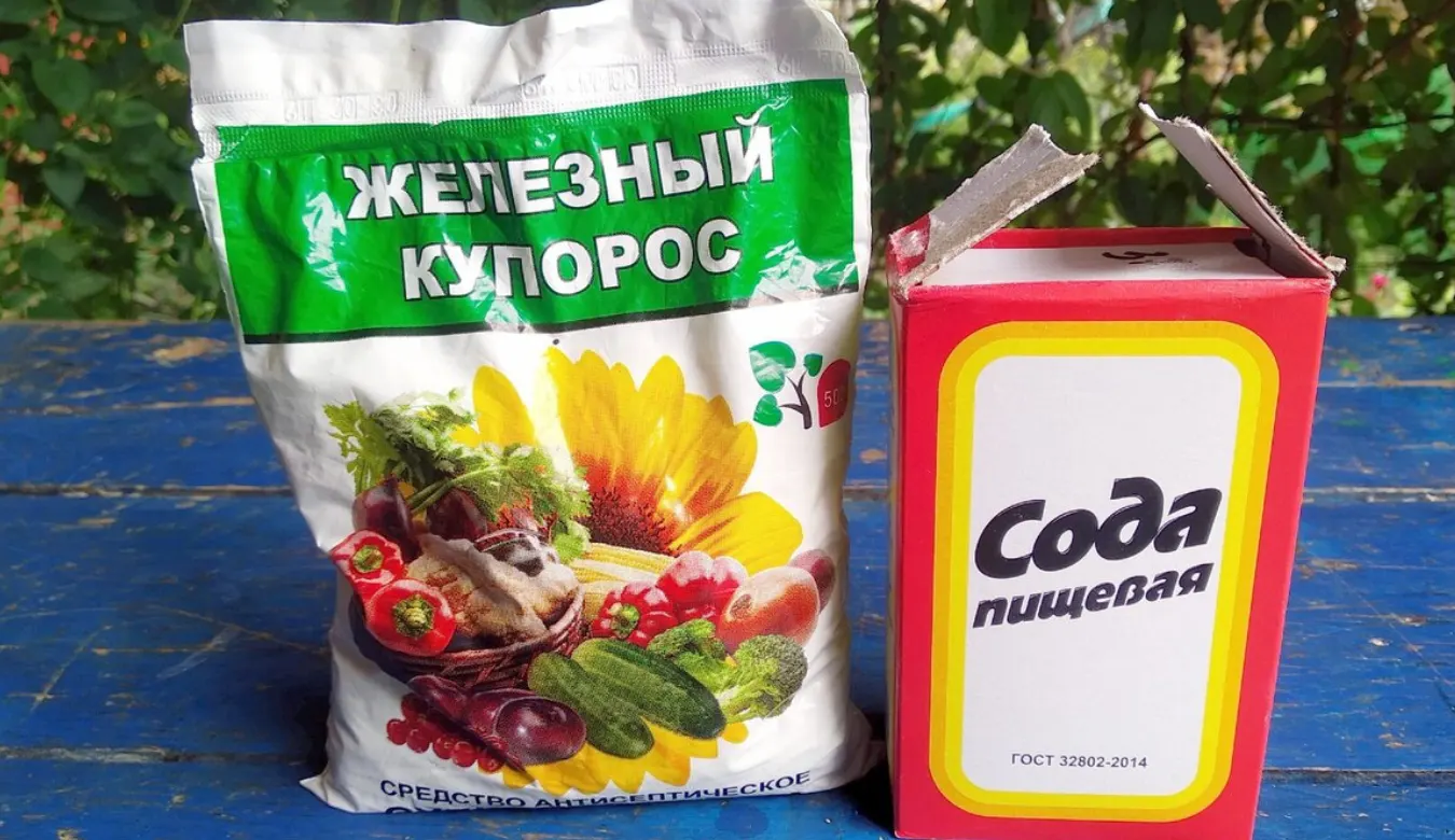 Дачный туалет без запаха