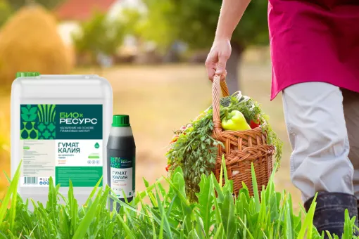 23 июля – День дачника в России