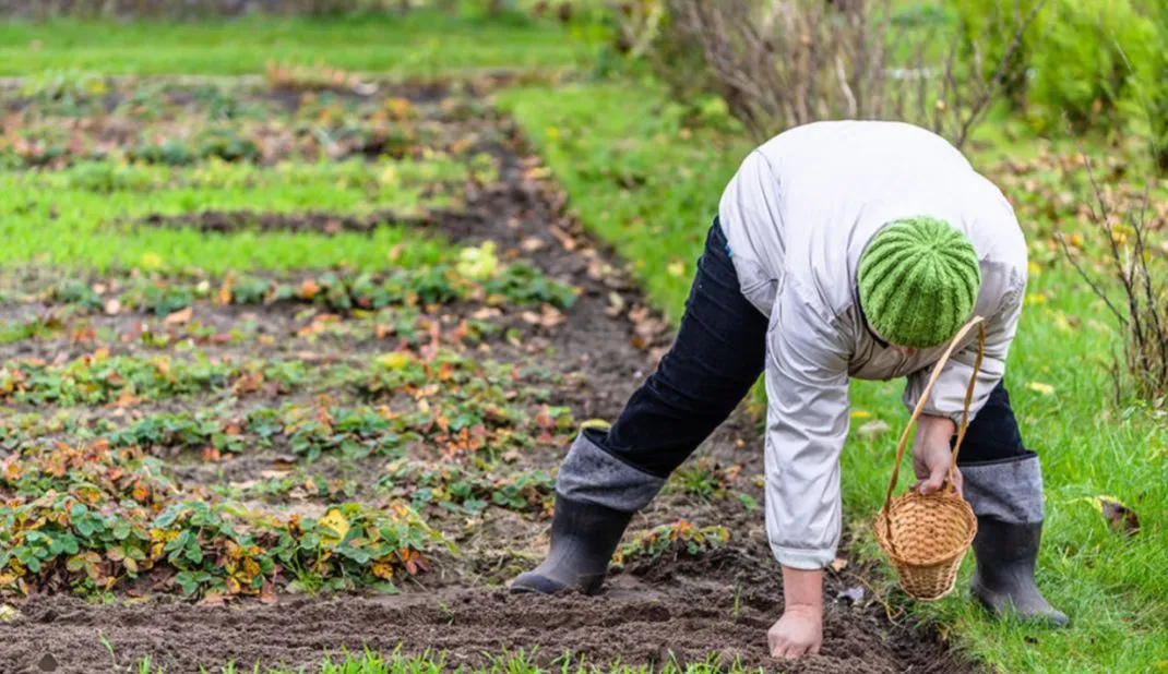Закрываем сезон.