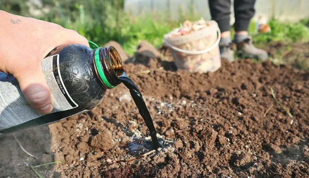 Весной осень?