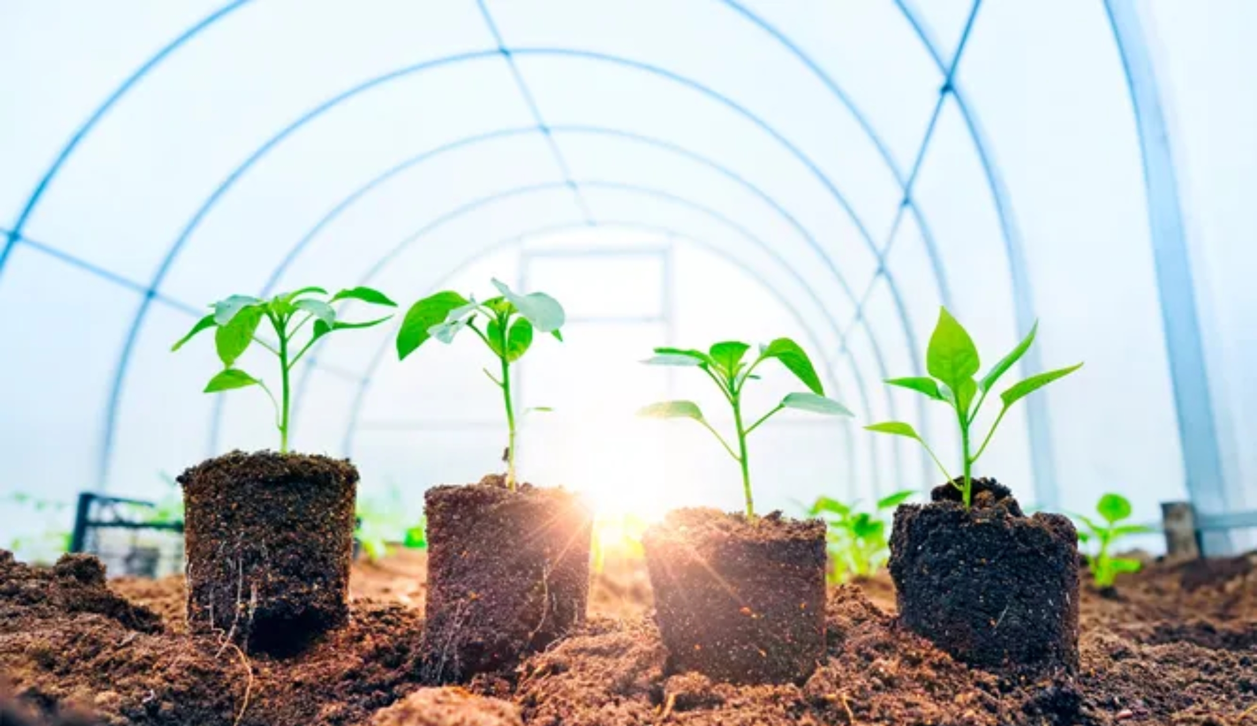 Весной осень?