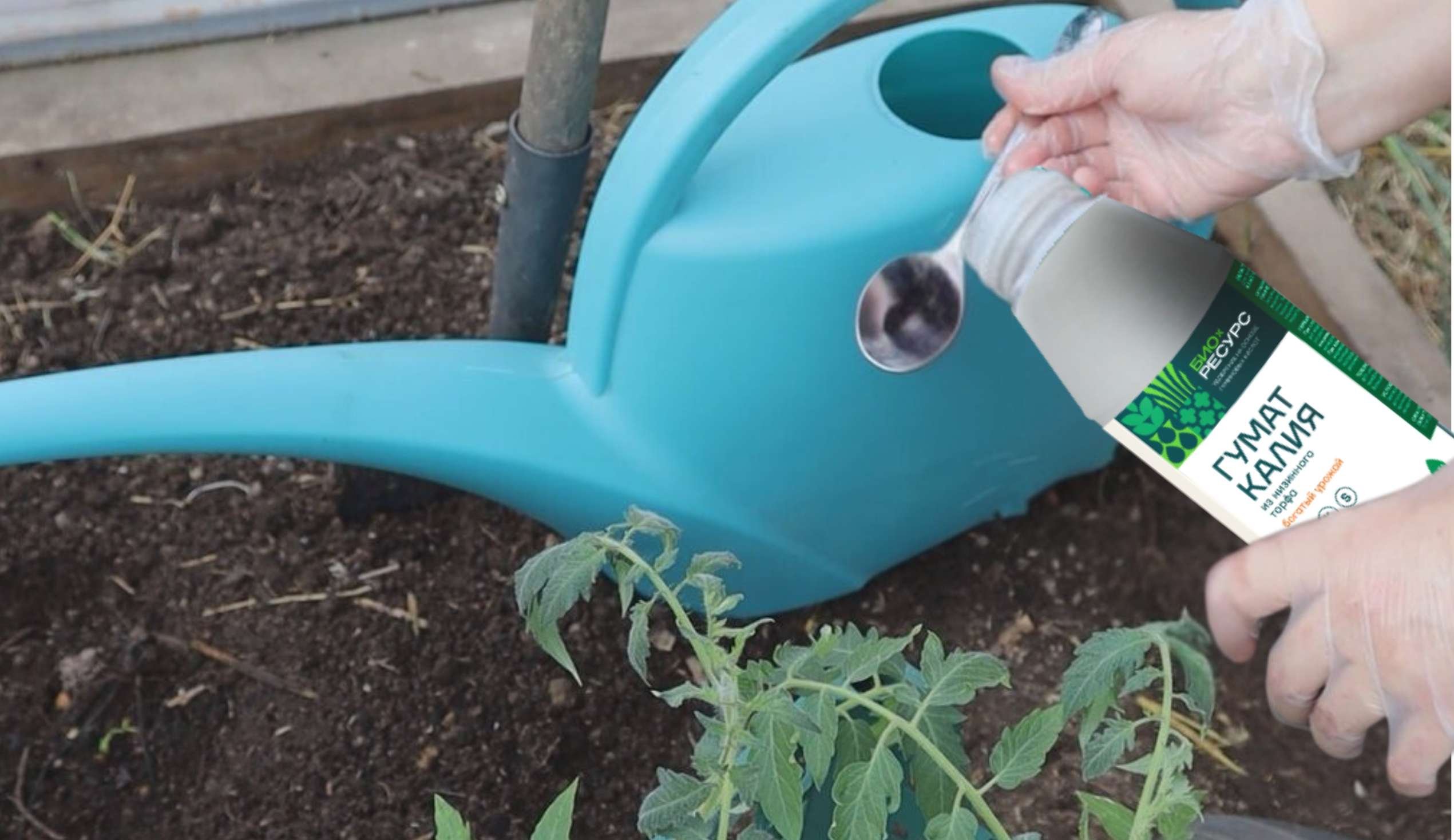 Весной осень?