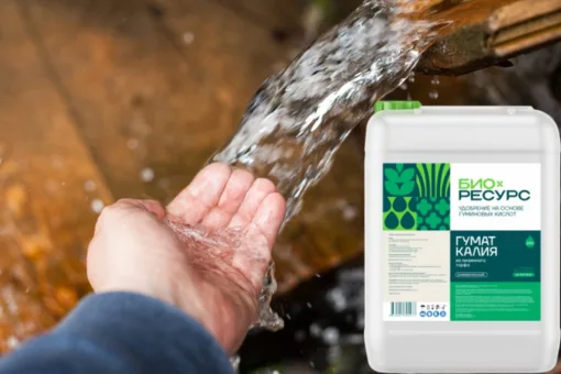 Гуматы спасут воду. А значит — Землю!