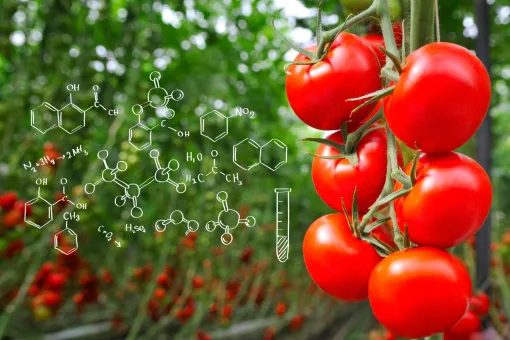 Макроэлементы. Сера.