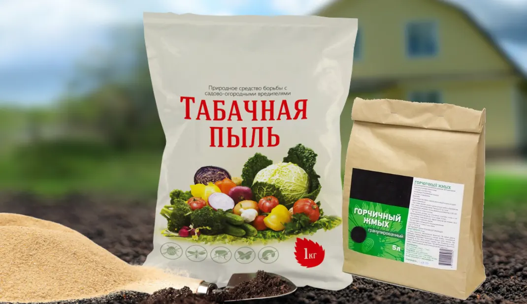 Пуста грядка не бывает