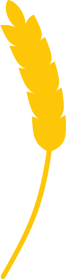 Vector_right