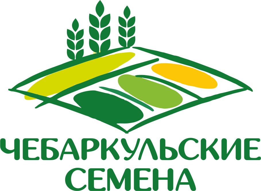 Чебаркуль логотип