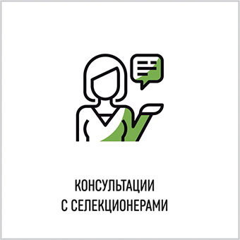 Преимущества