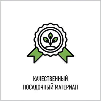 Преимущества